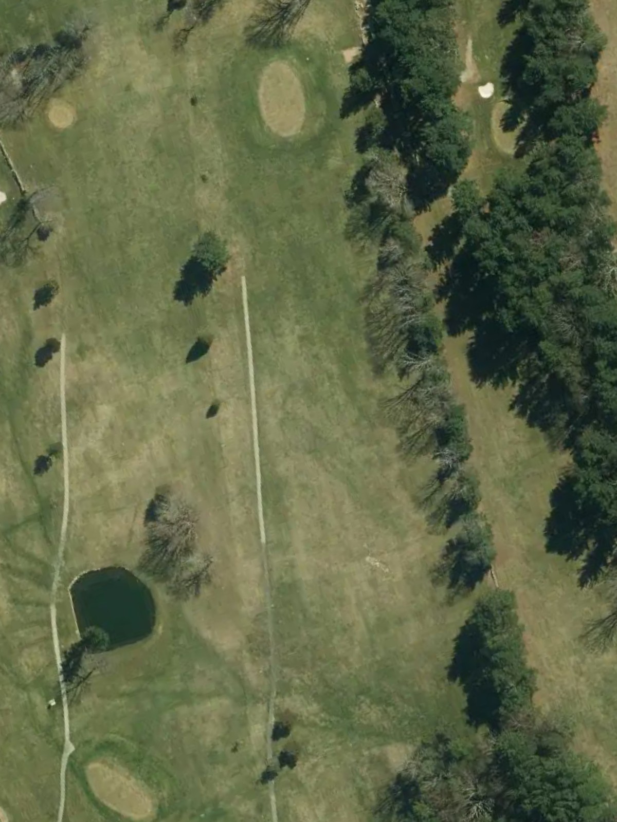 Hole 4 satellite