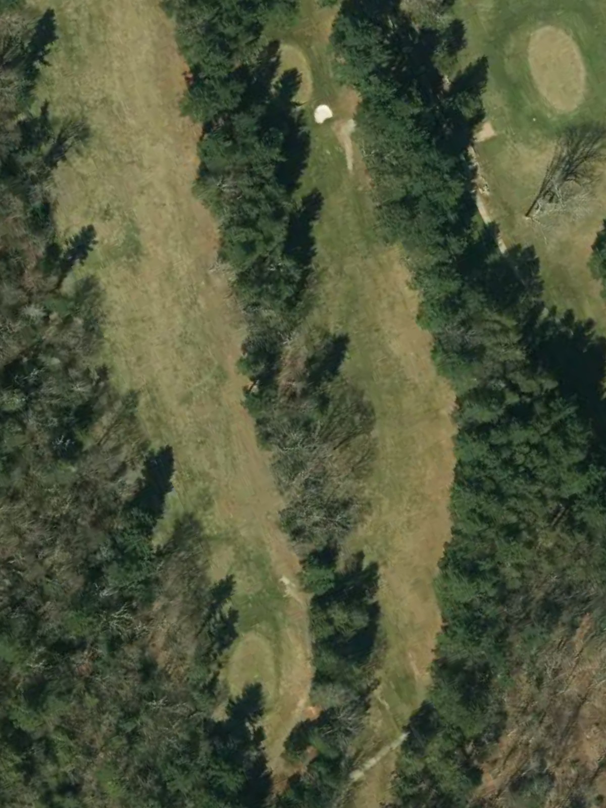 Hole 7 satellite
