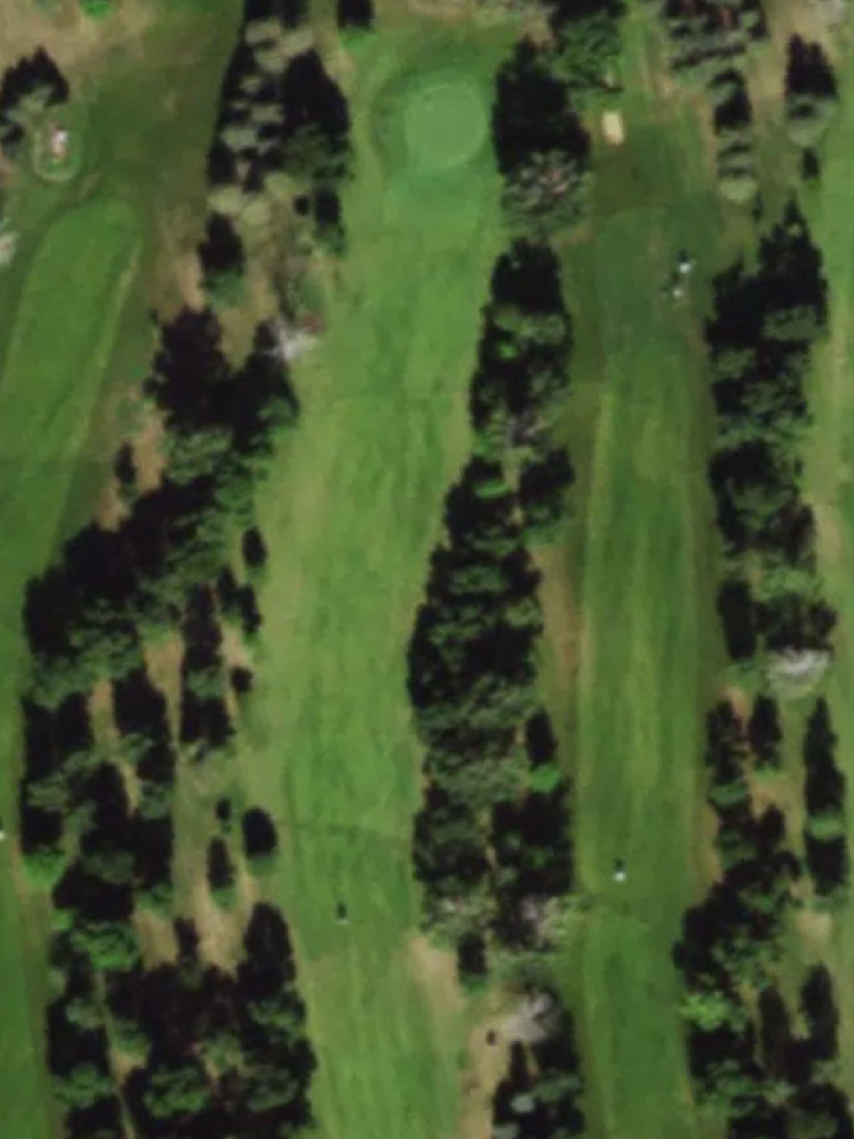 Hole 7 satellite