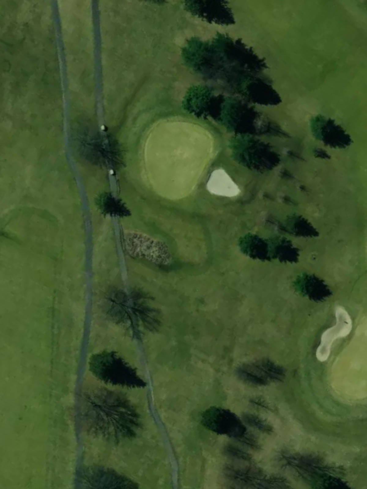 Hole 6 satellite