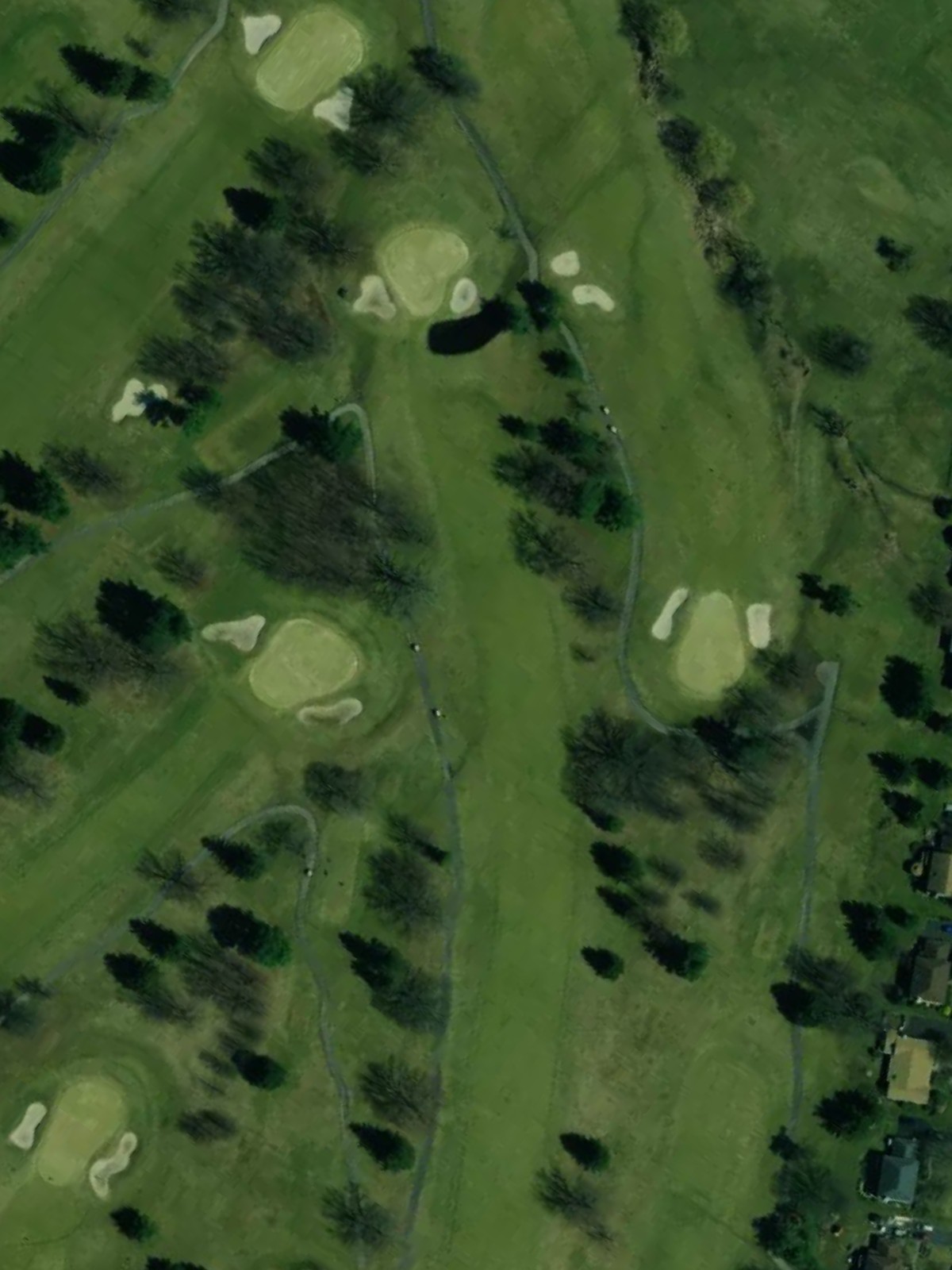 Hole 7 satellite