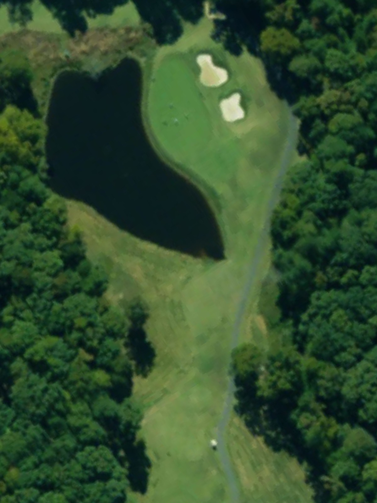 Hole 15 satellite