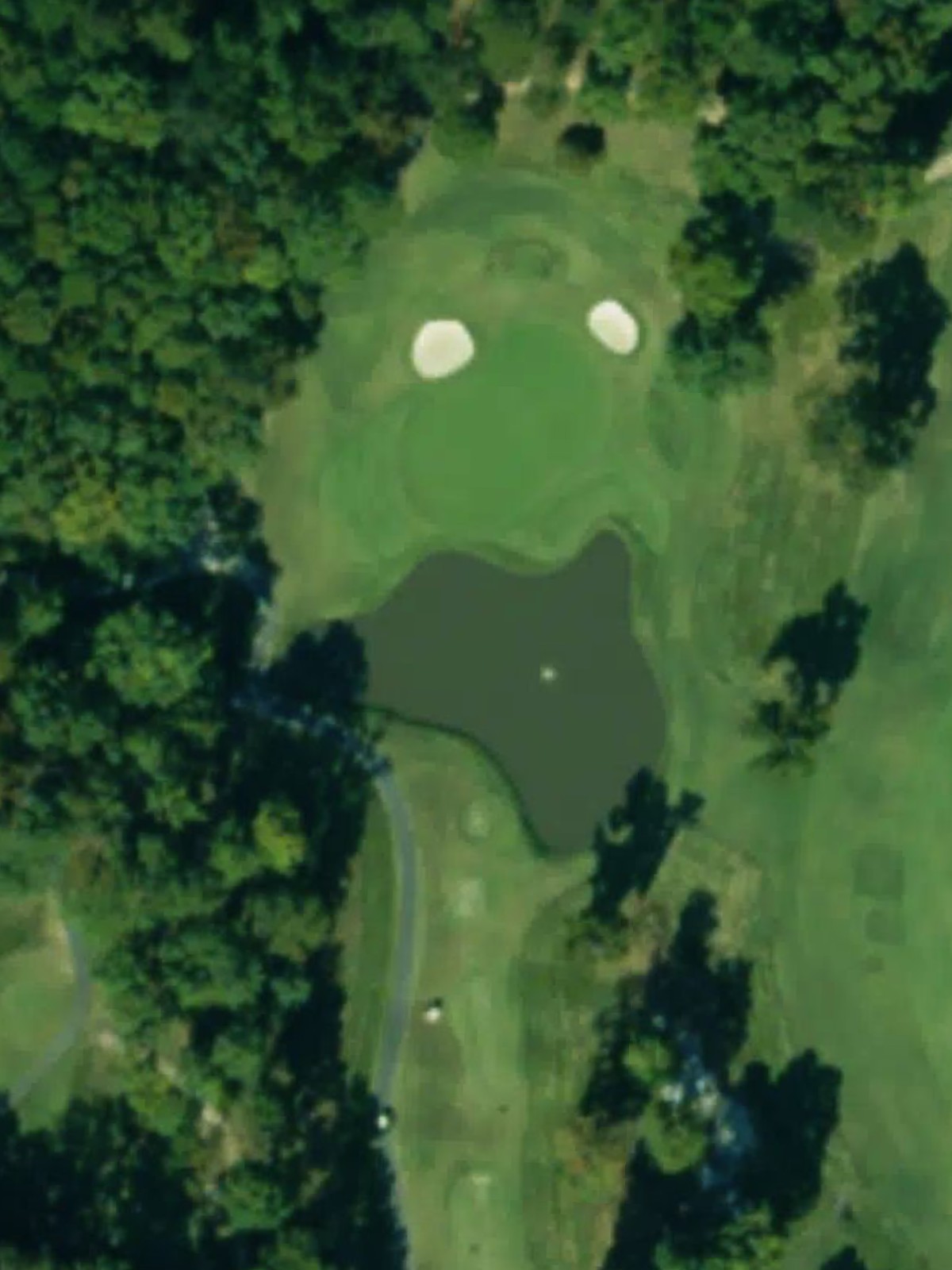 Hole 4 satellite