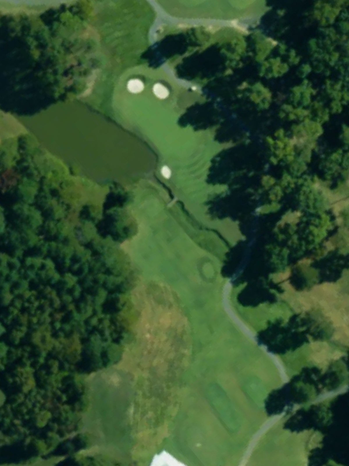 Hole 7 satellite
