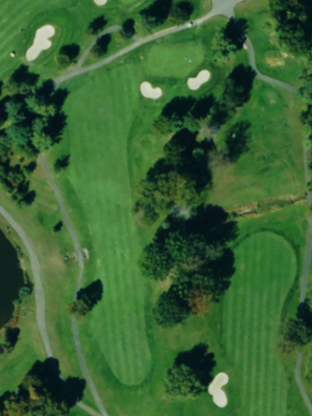 Hole 10 satellite