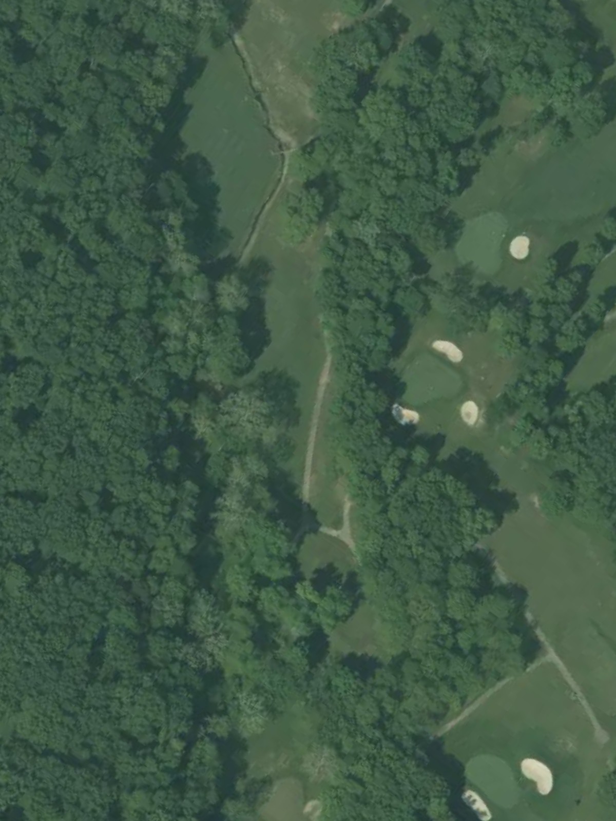Hole 4 satellite