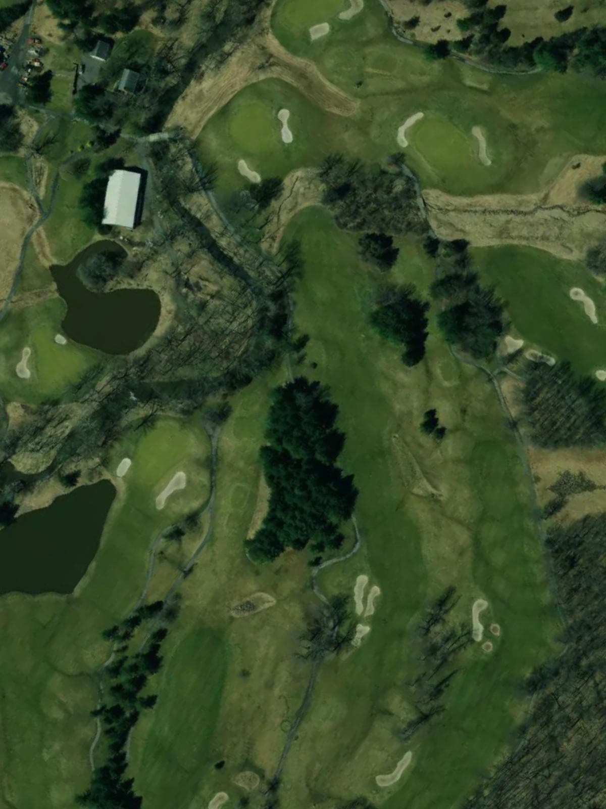 Hole 4 satellite