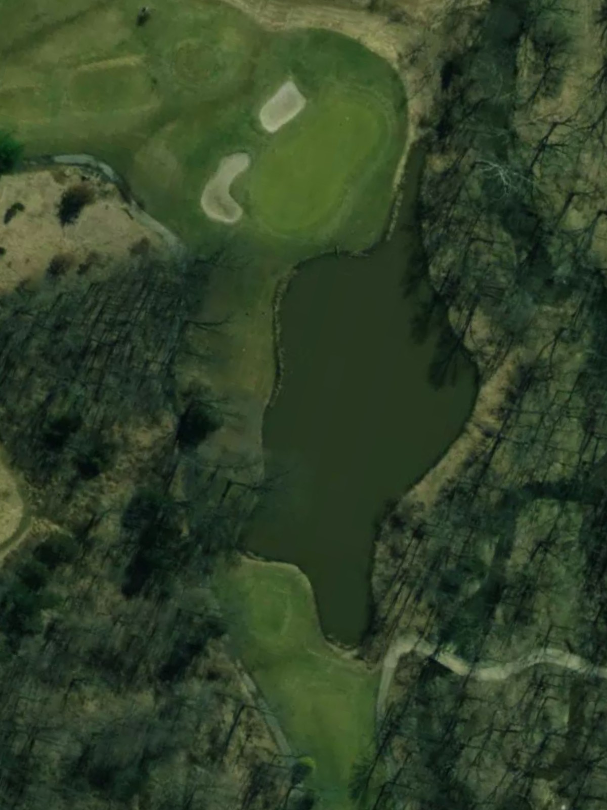 Hole 7 satellite