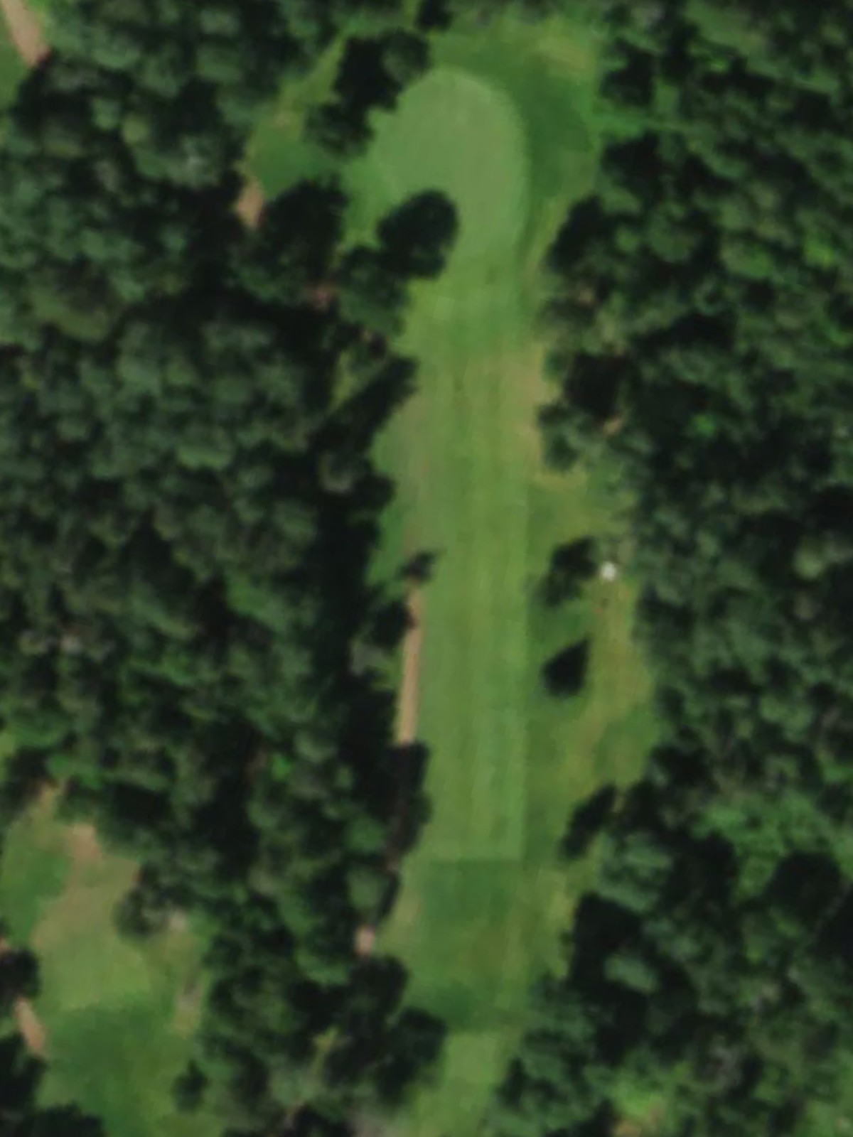Hole 4 satellite