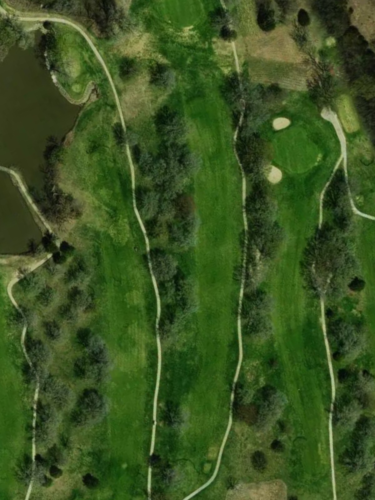 Hole 7 satellite