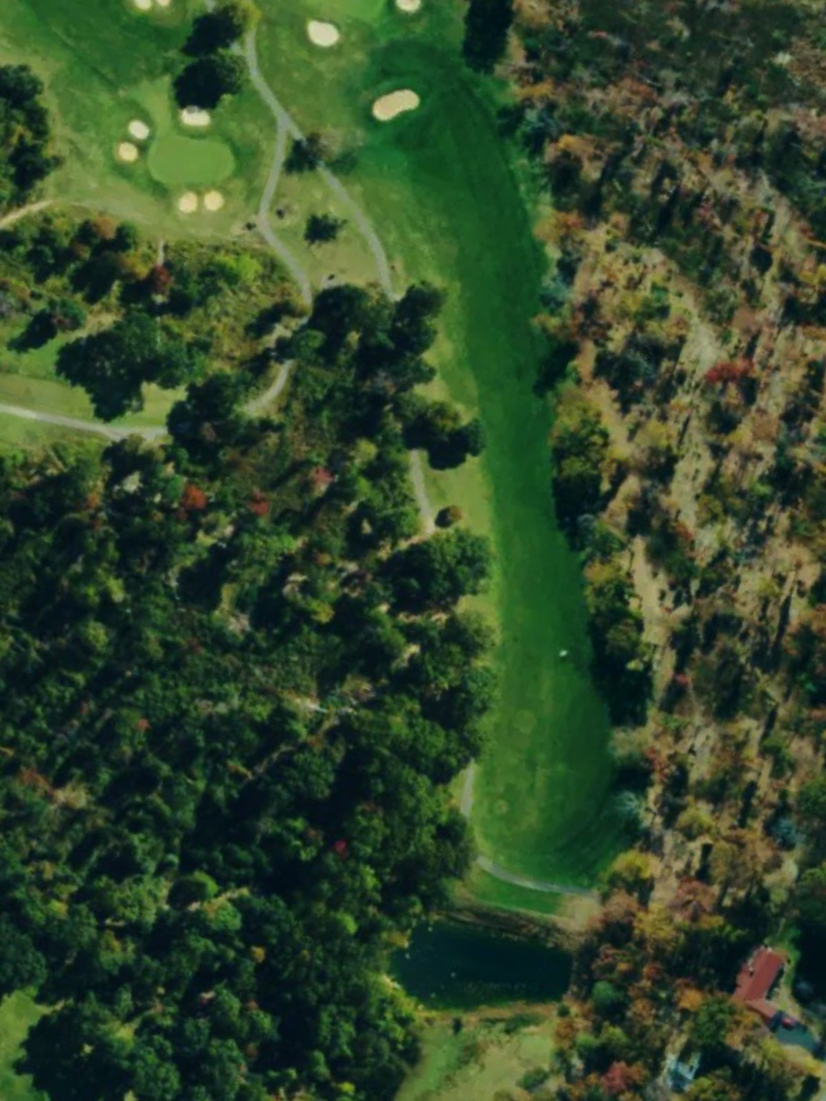 Hole 12 satellite