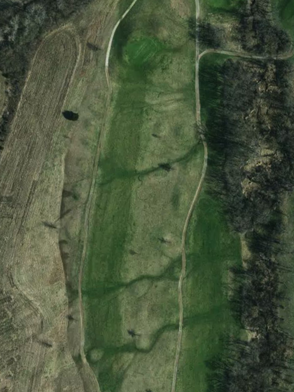 Hole 11 satellite
