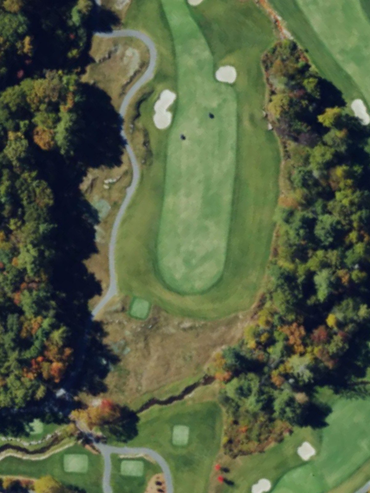 Hole 7 satellite