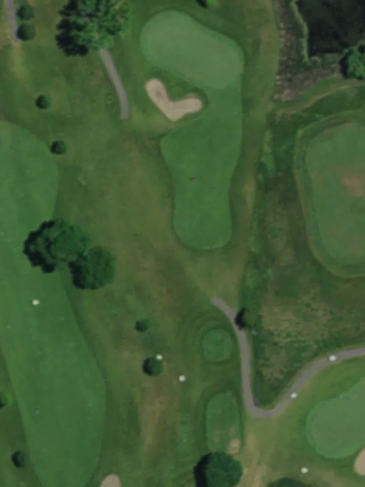 Hole 8 satellite