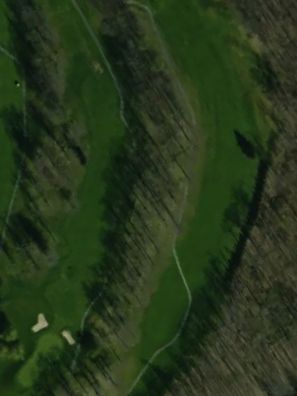 Hole 12 satellite