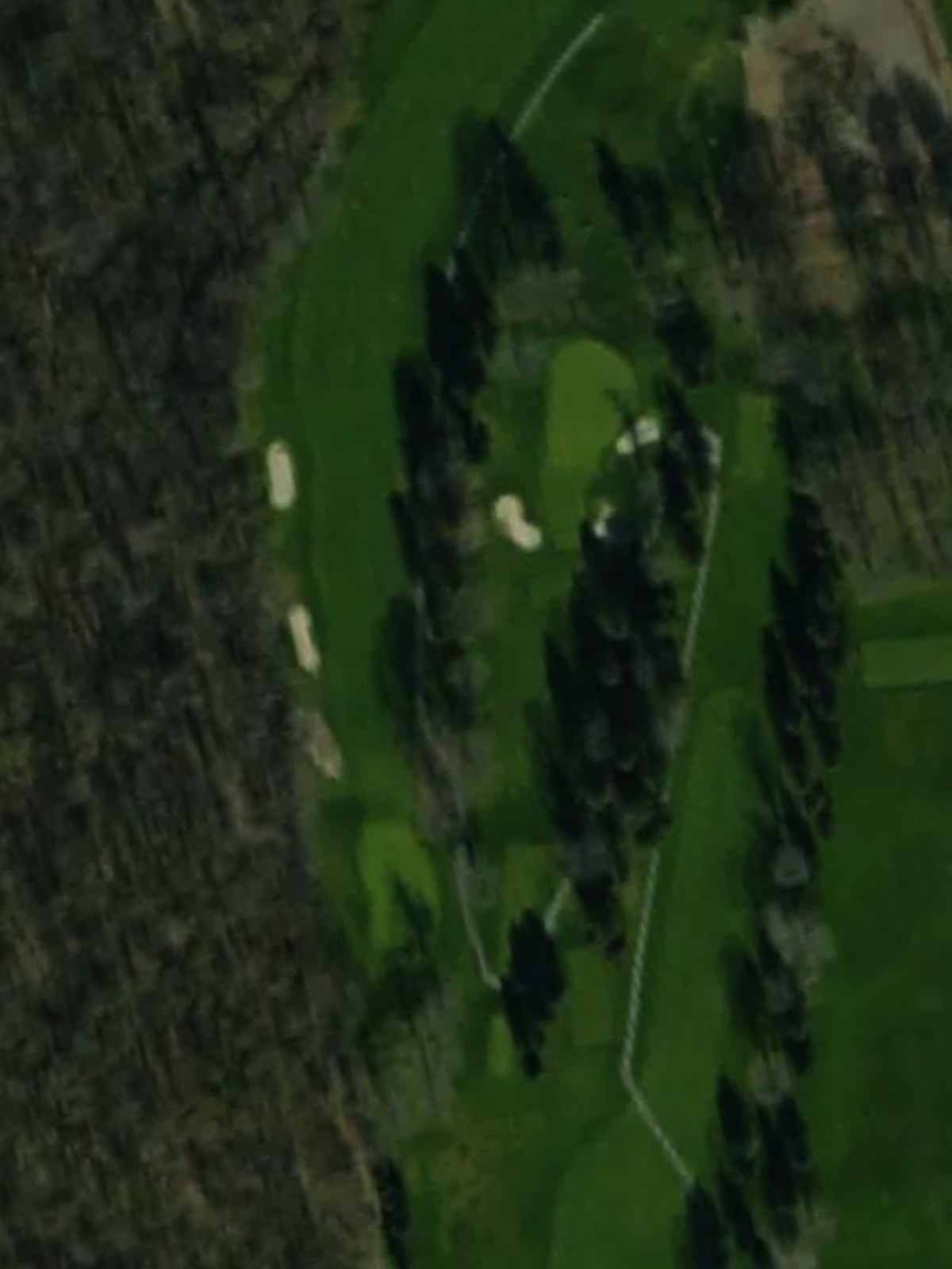 Hole 6 satellite