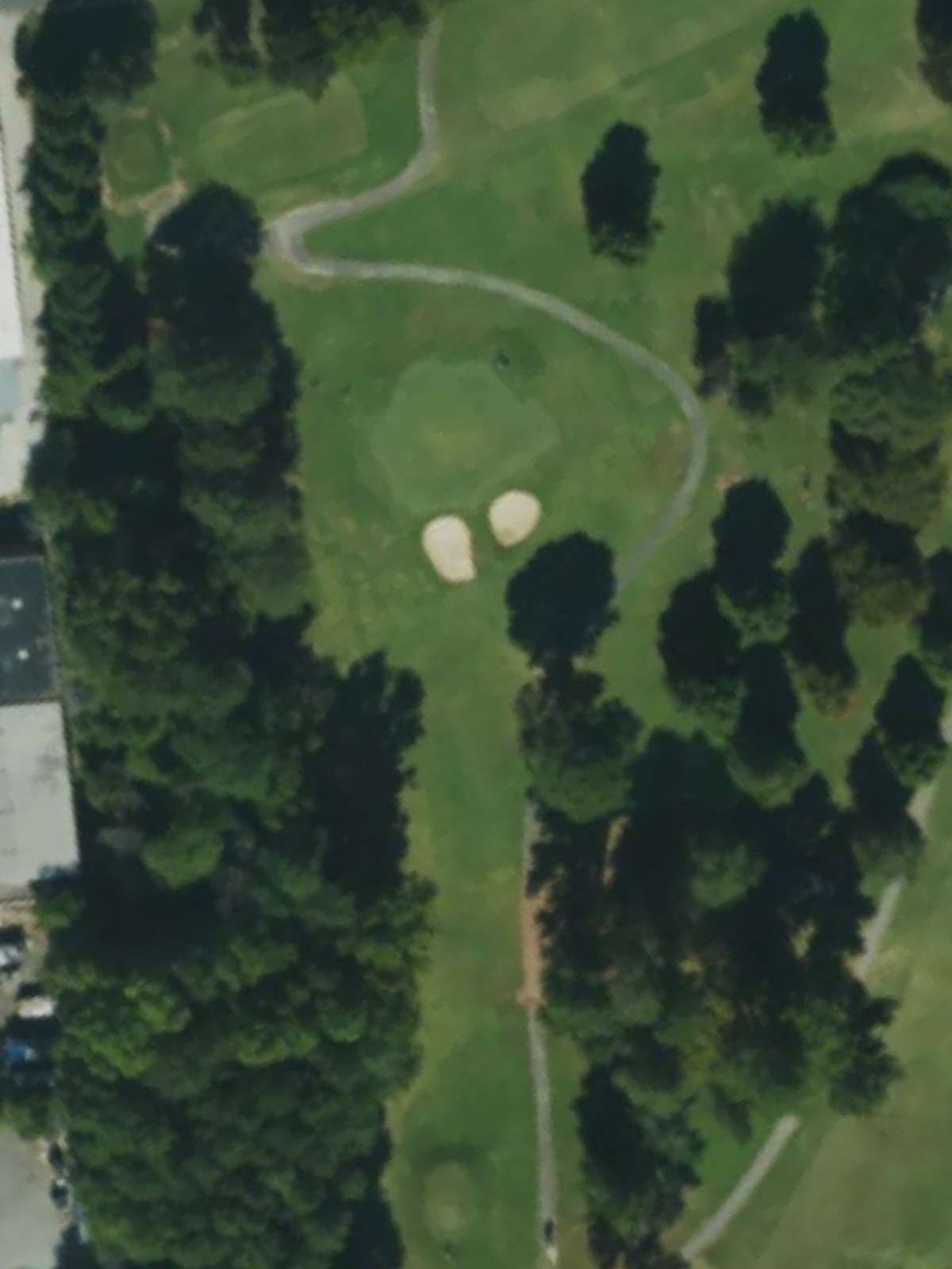 Hole 15 satellite