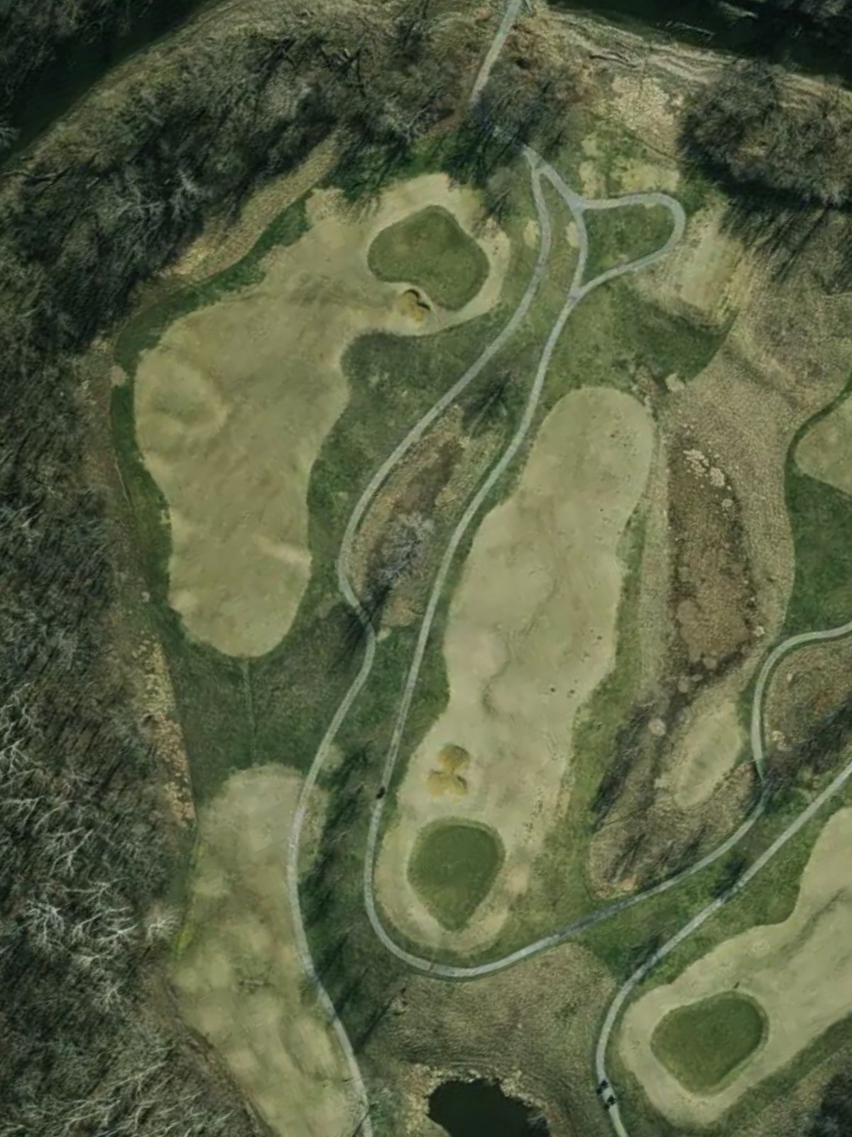 Hole 7 satellite