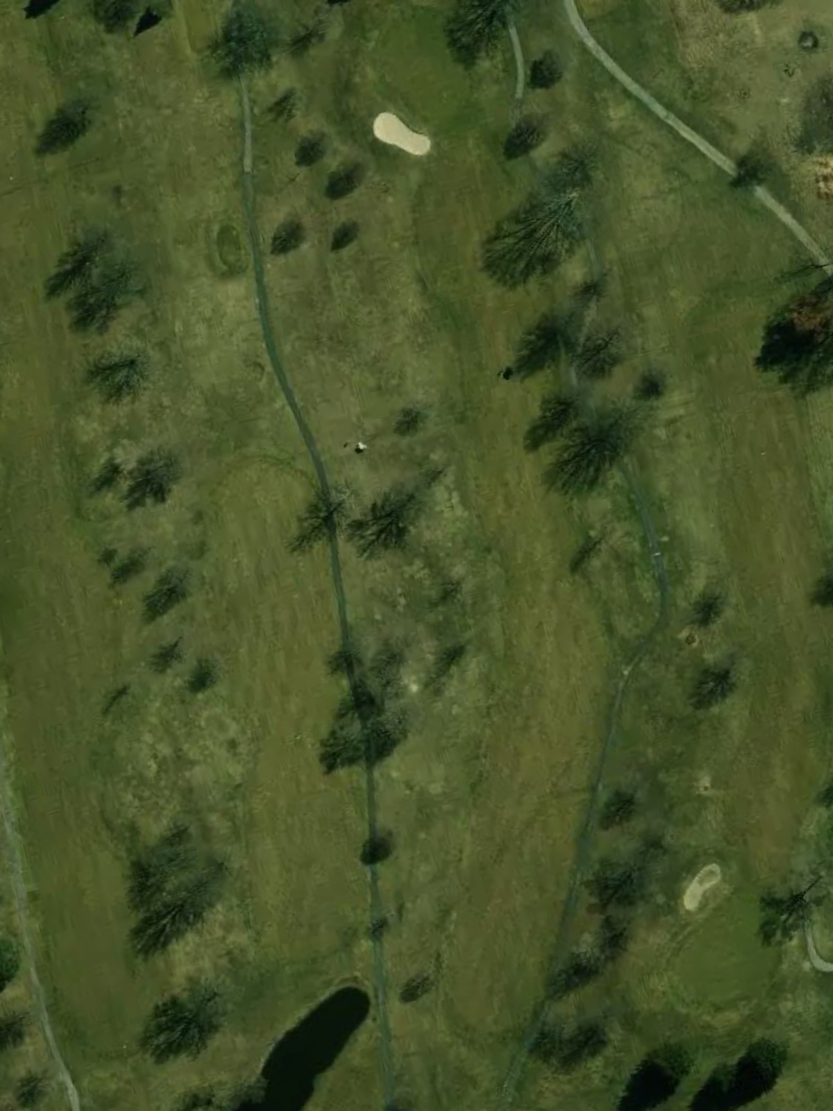 Hole 1 satellite