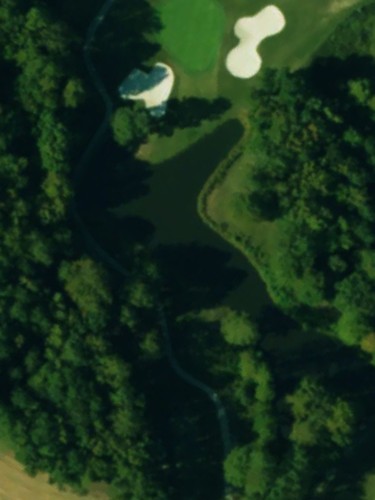 Hole 7 satellite