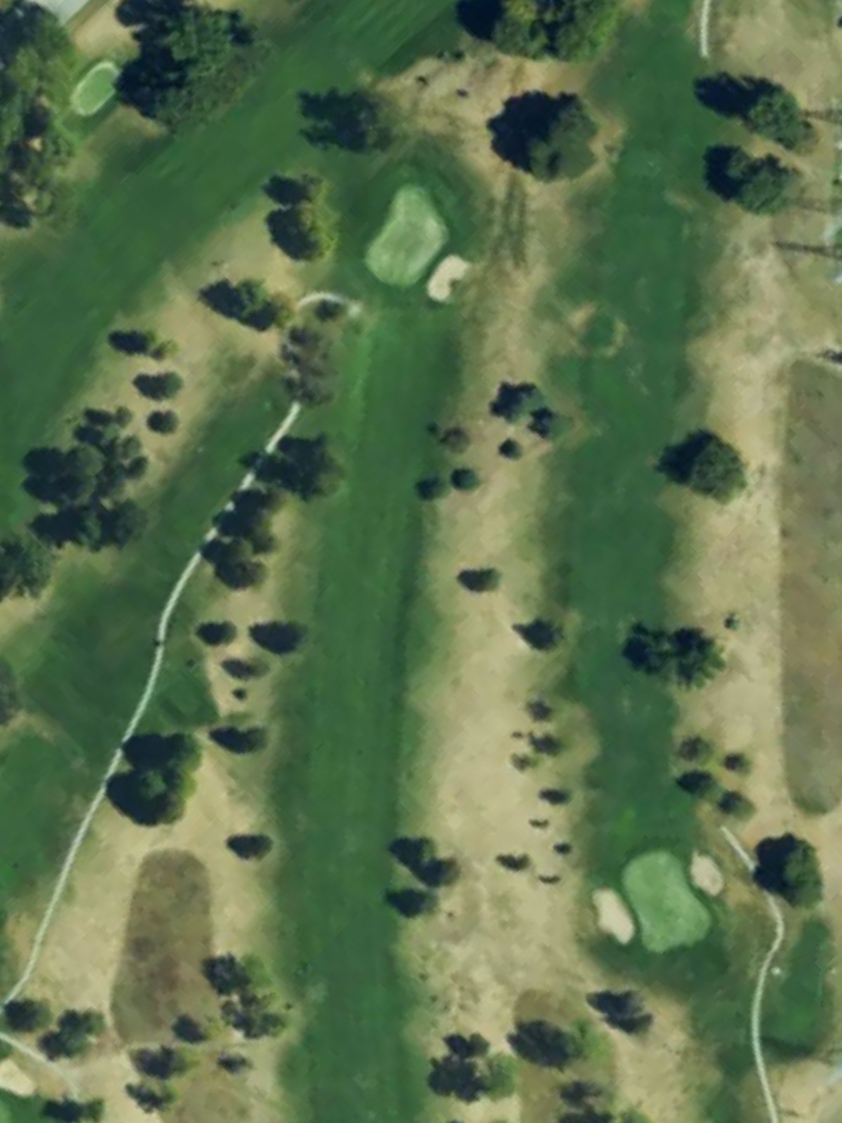 Hole 8 satellite