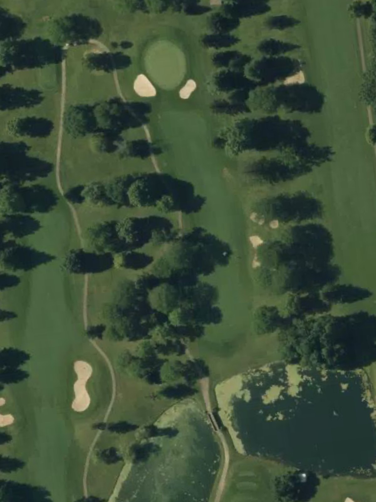 Hole 8 satellite