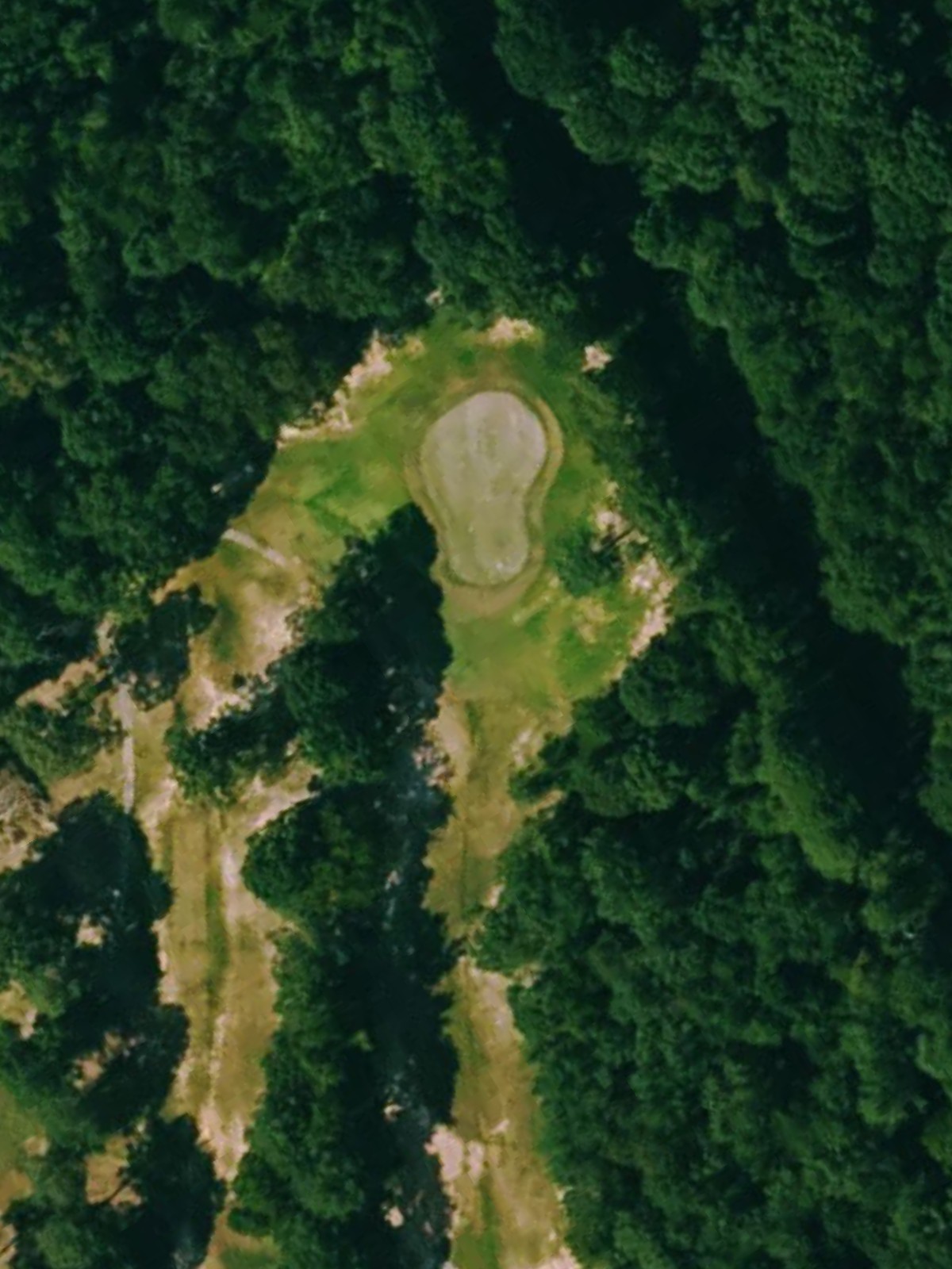 Hole 12 satellite