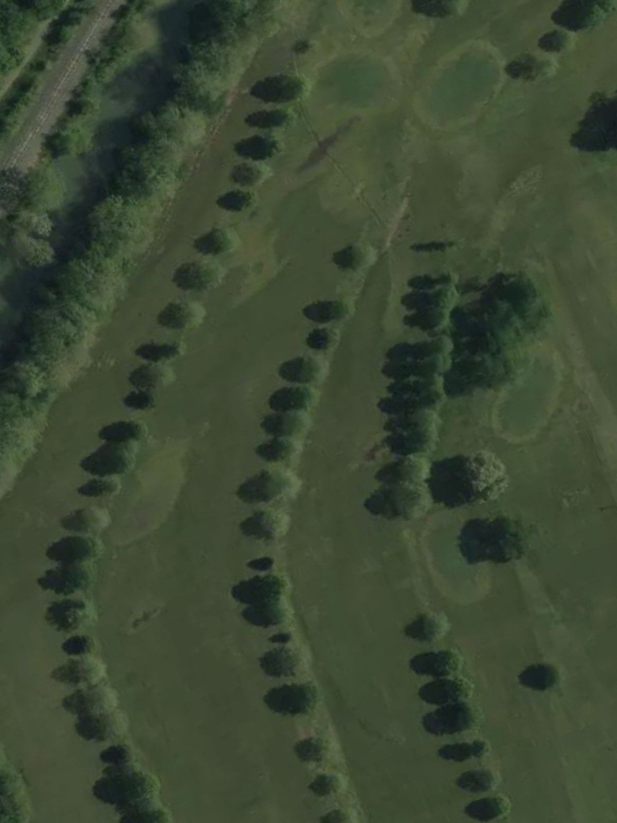 Hole 15 satellite