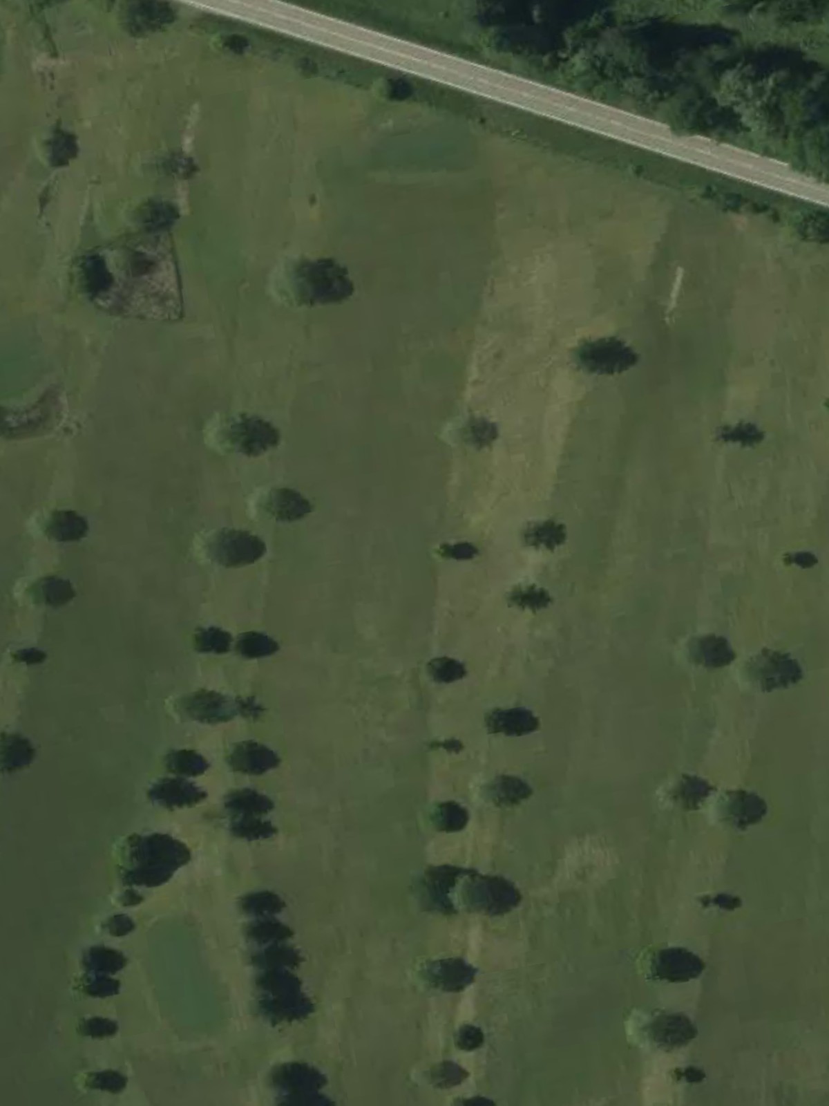 Hole 7 satellite