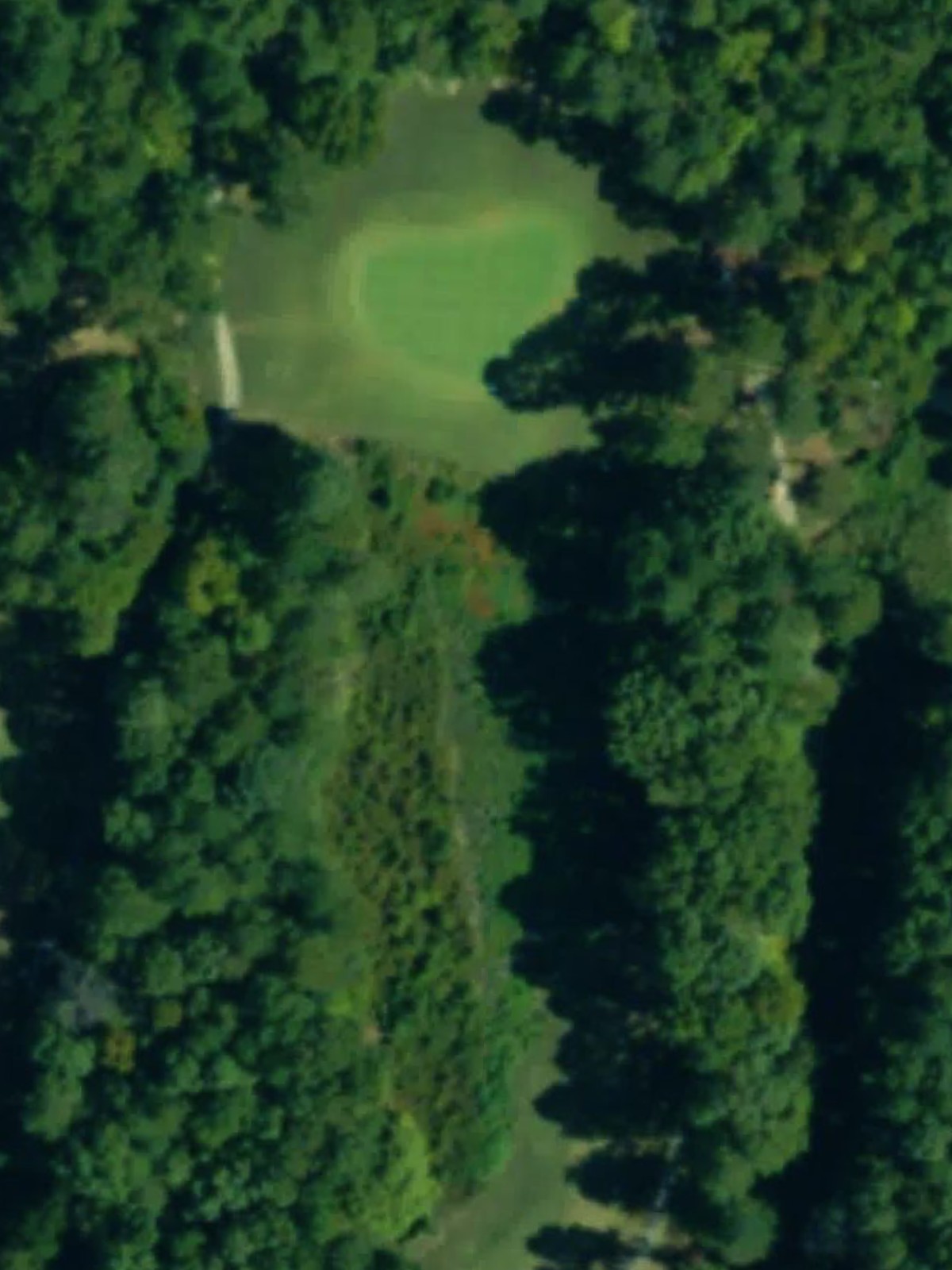 Hole 12 satellite