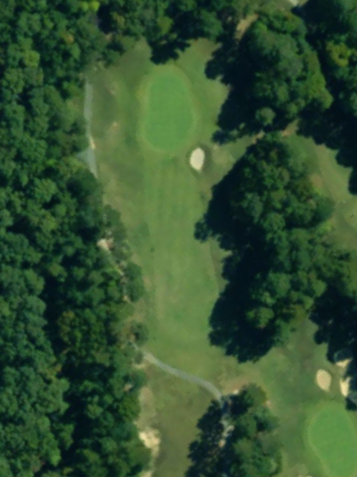 Hole 15 satellite