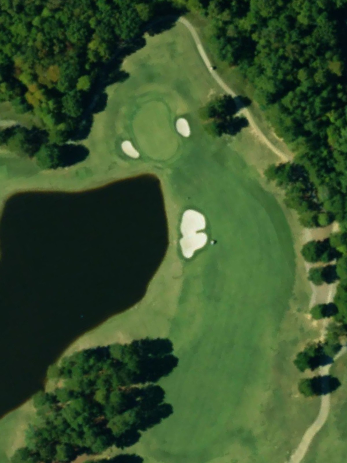 Hole 10 satellite