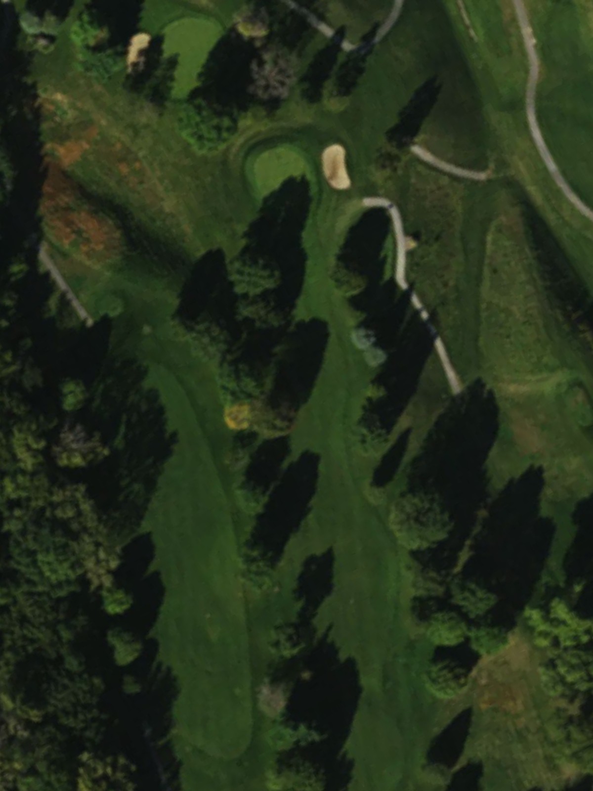 Hole 15 satellite