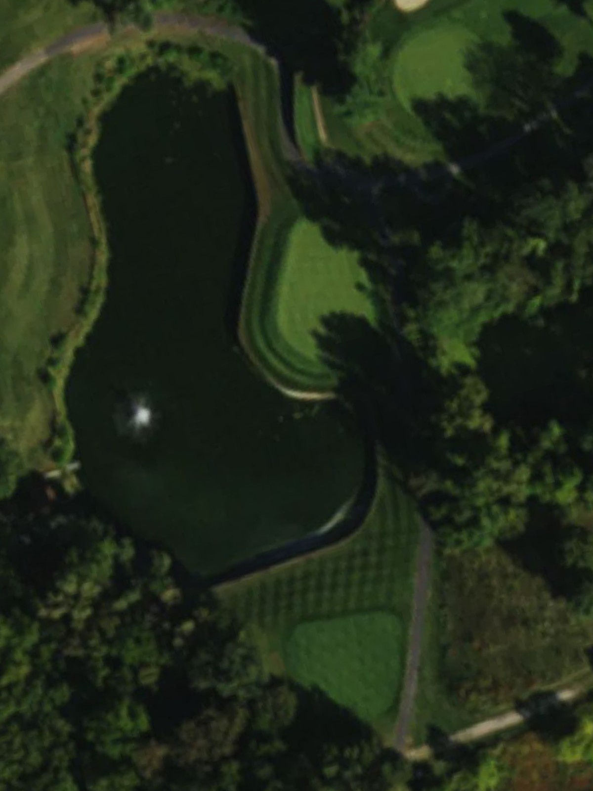 Hole 7 satellite