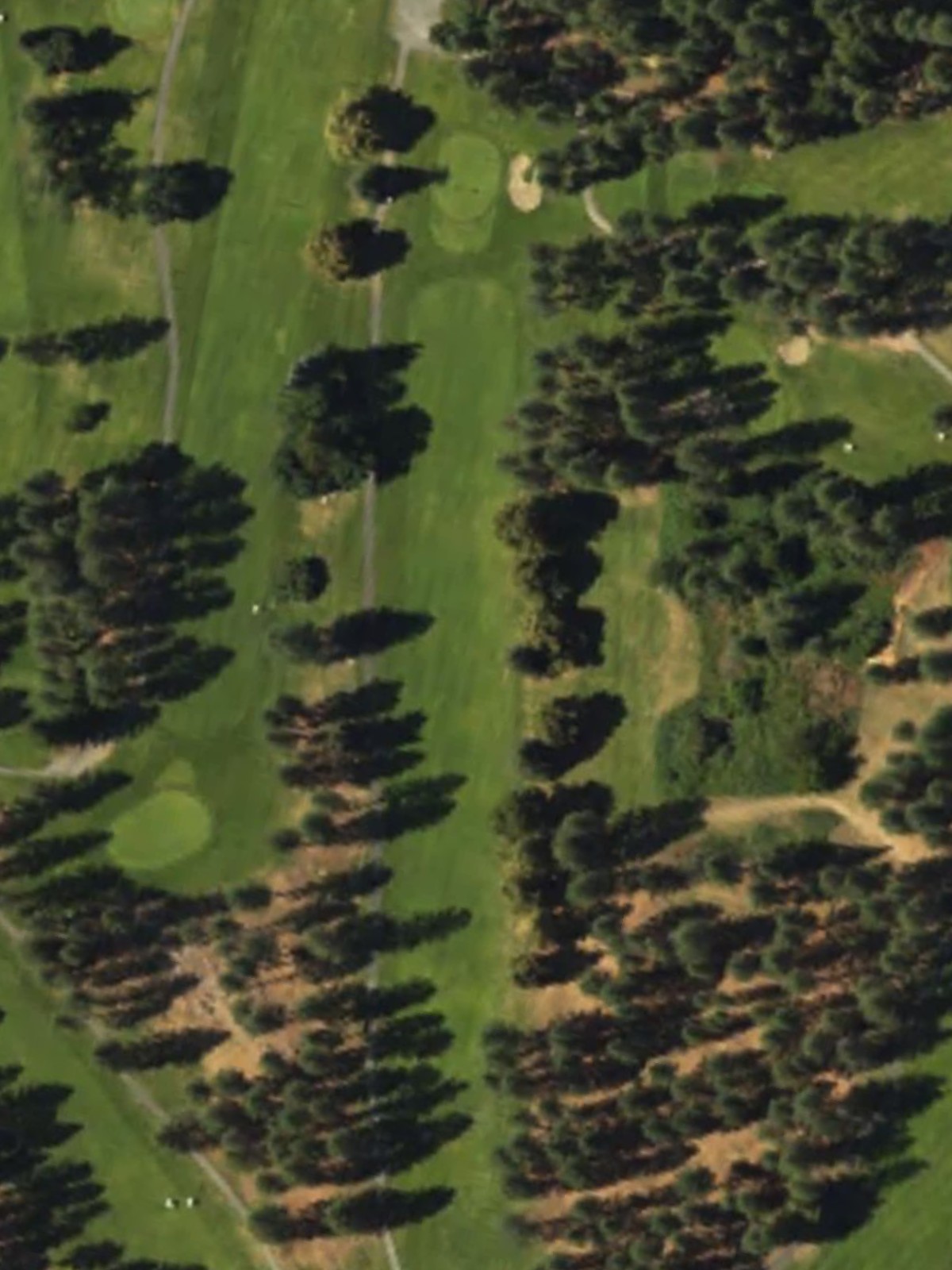 Hole 1 satellite
