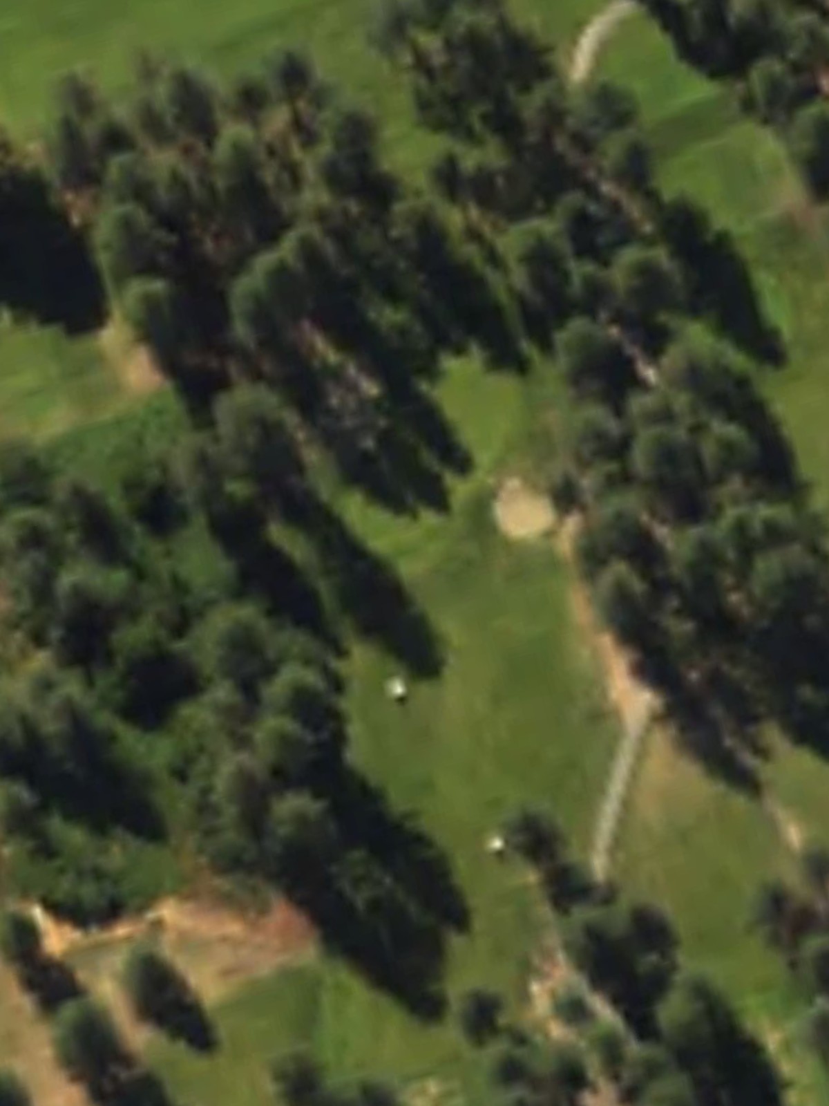 Hole 11 satellite