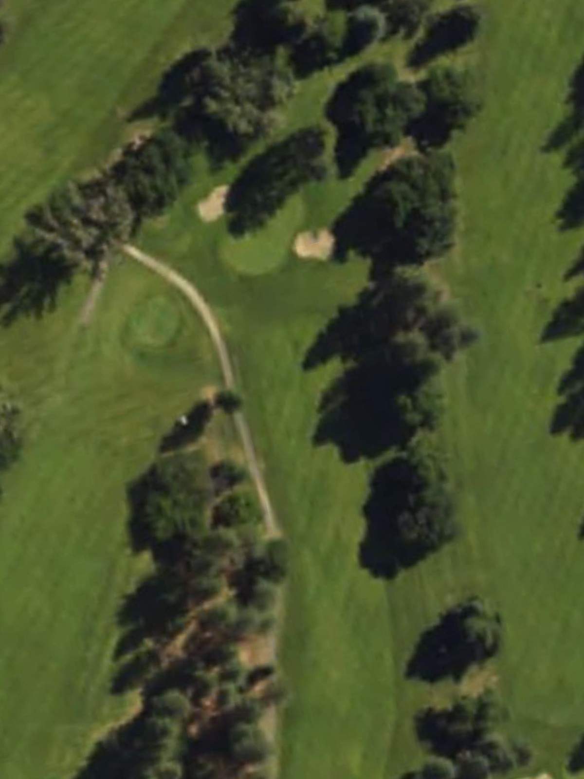 Hole 15 satellite