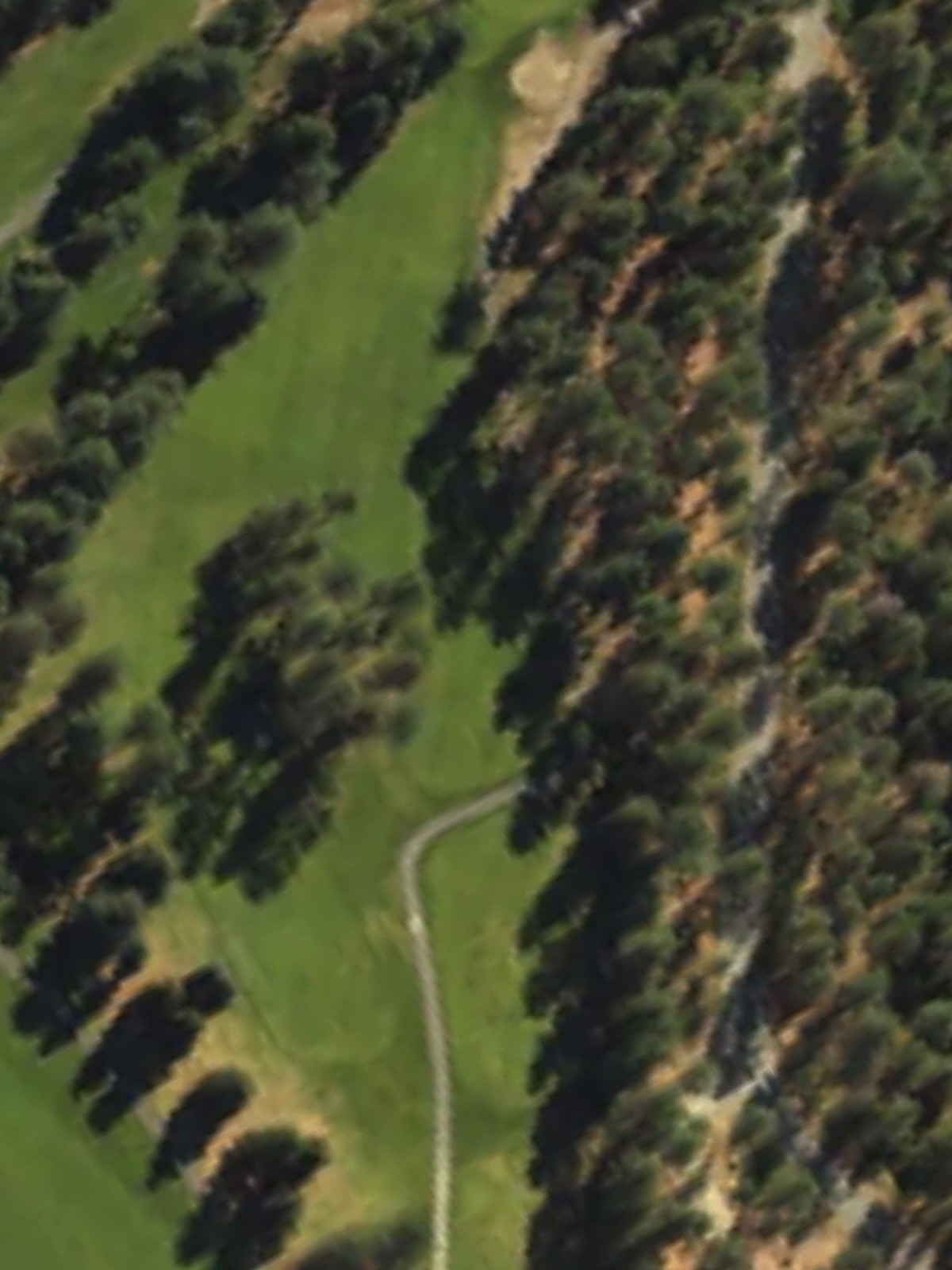 Hole 7 satellite