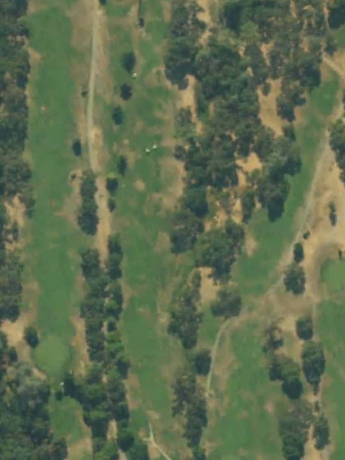 Hole 5 satellite