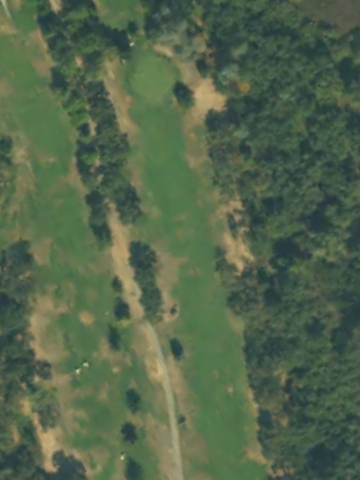 Hole 7 satellite