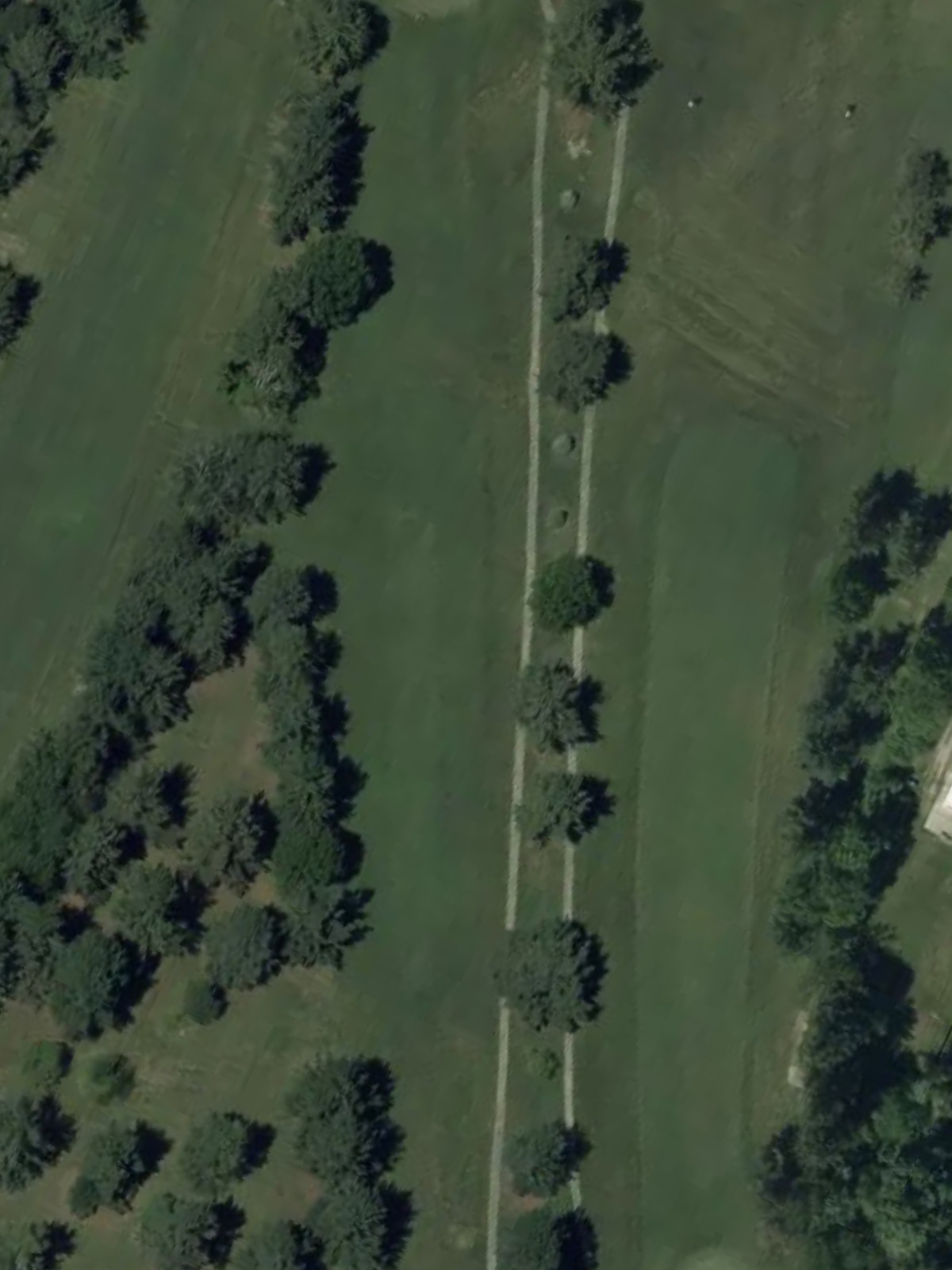 Hole 6 satellite