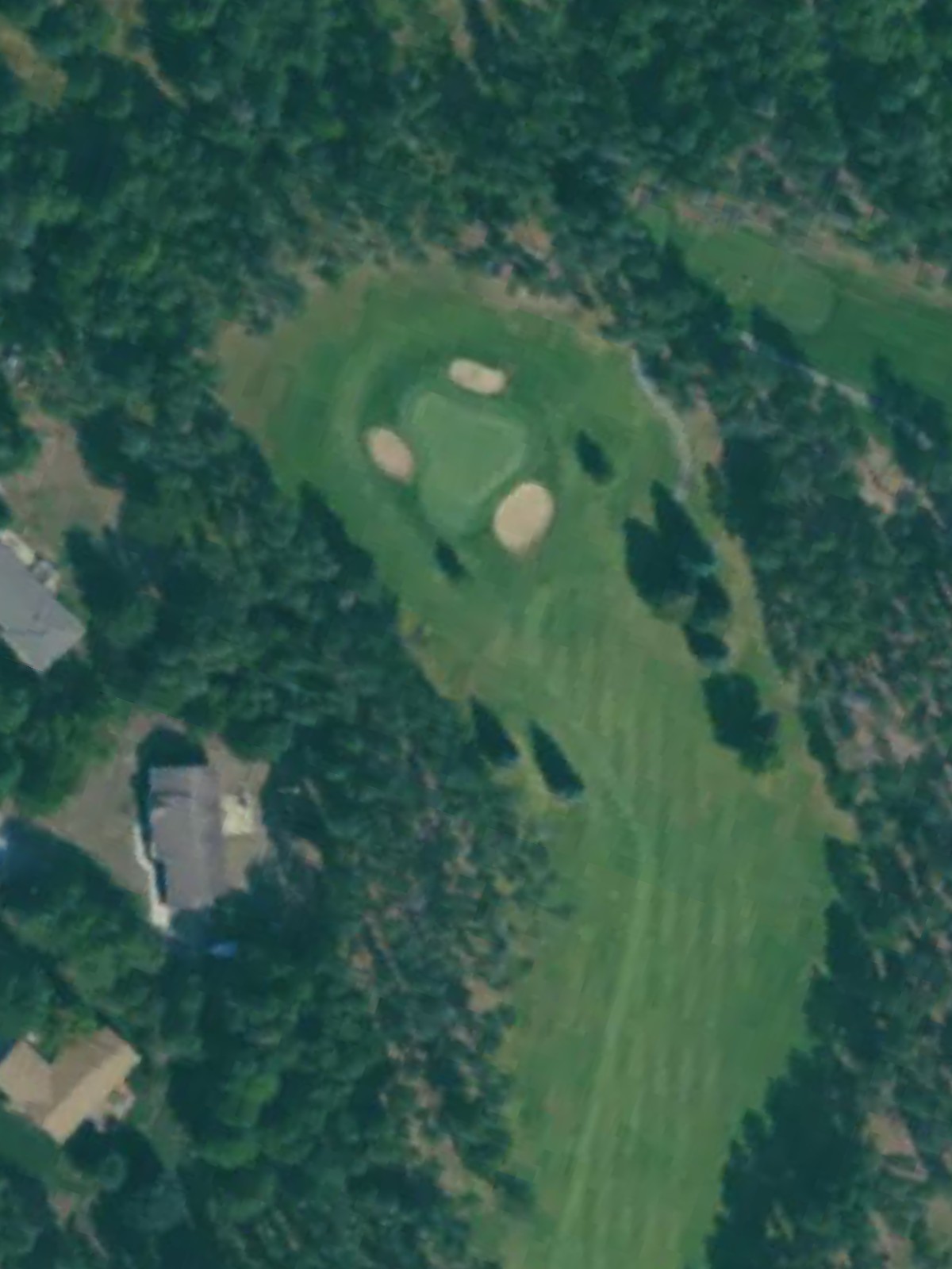 Hole 4 satellite