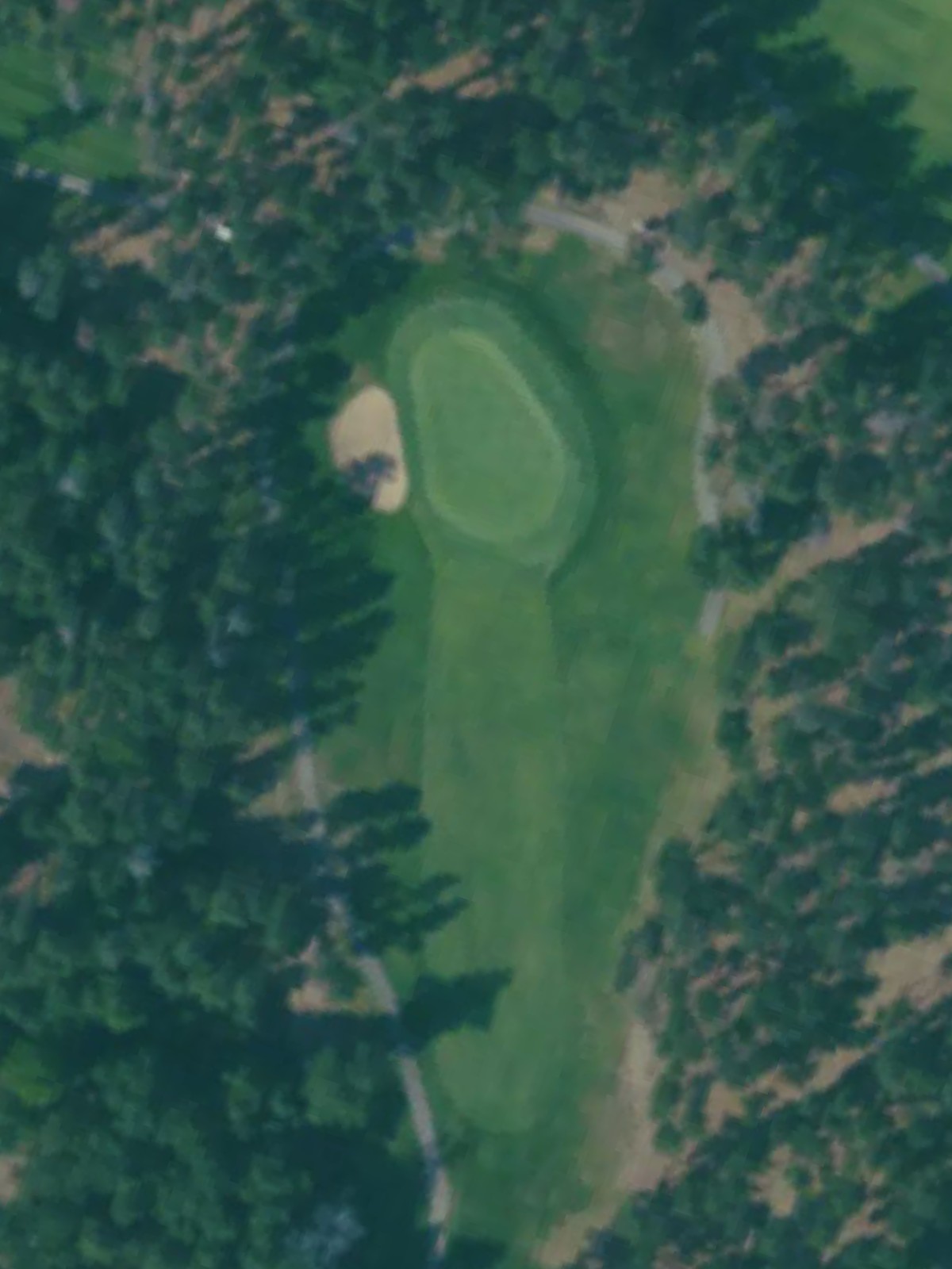 Hole 7 satellite