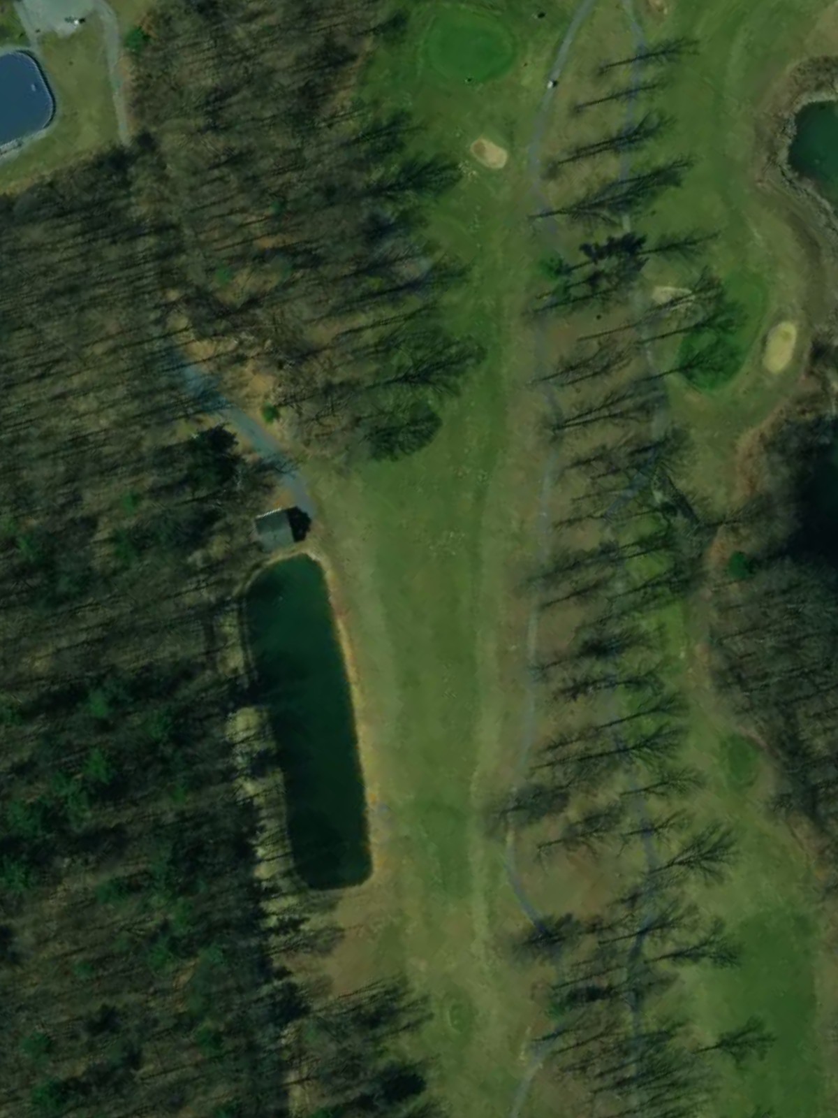 Hole 15 satellite