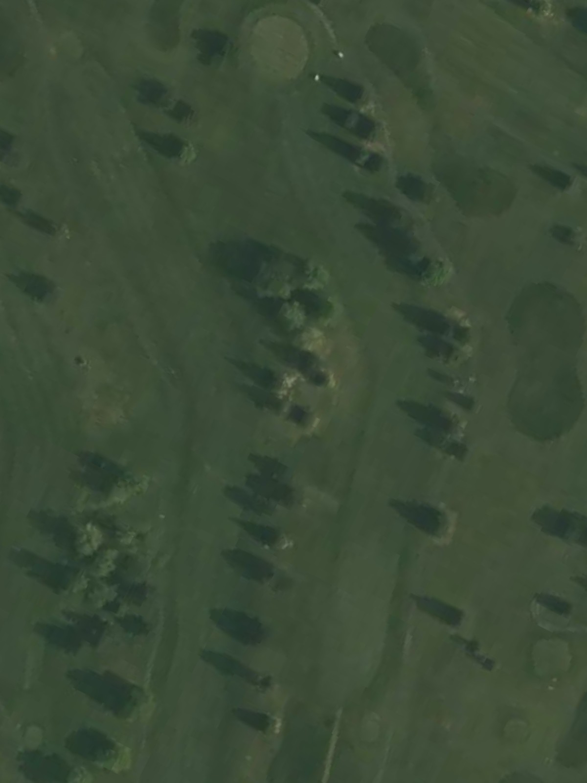 Hole 1 satellite