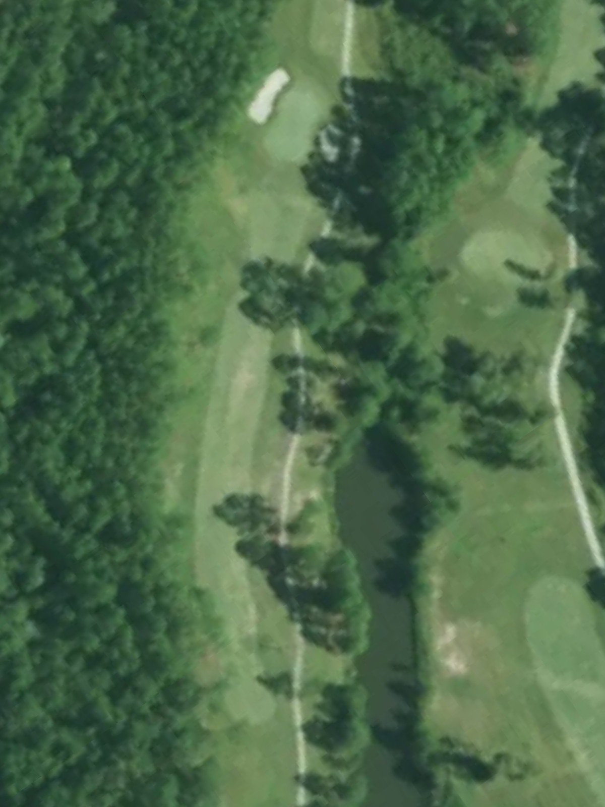 Hole 13 satellite