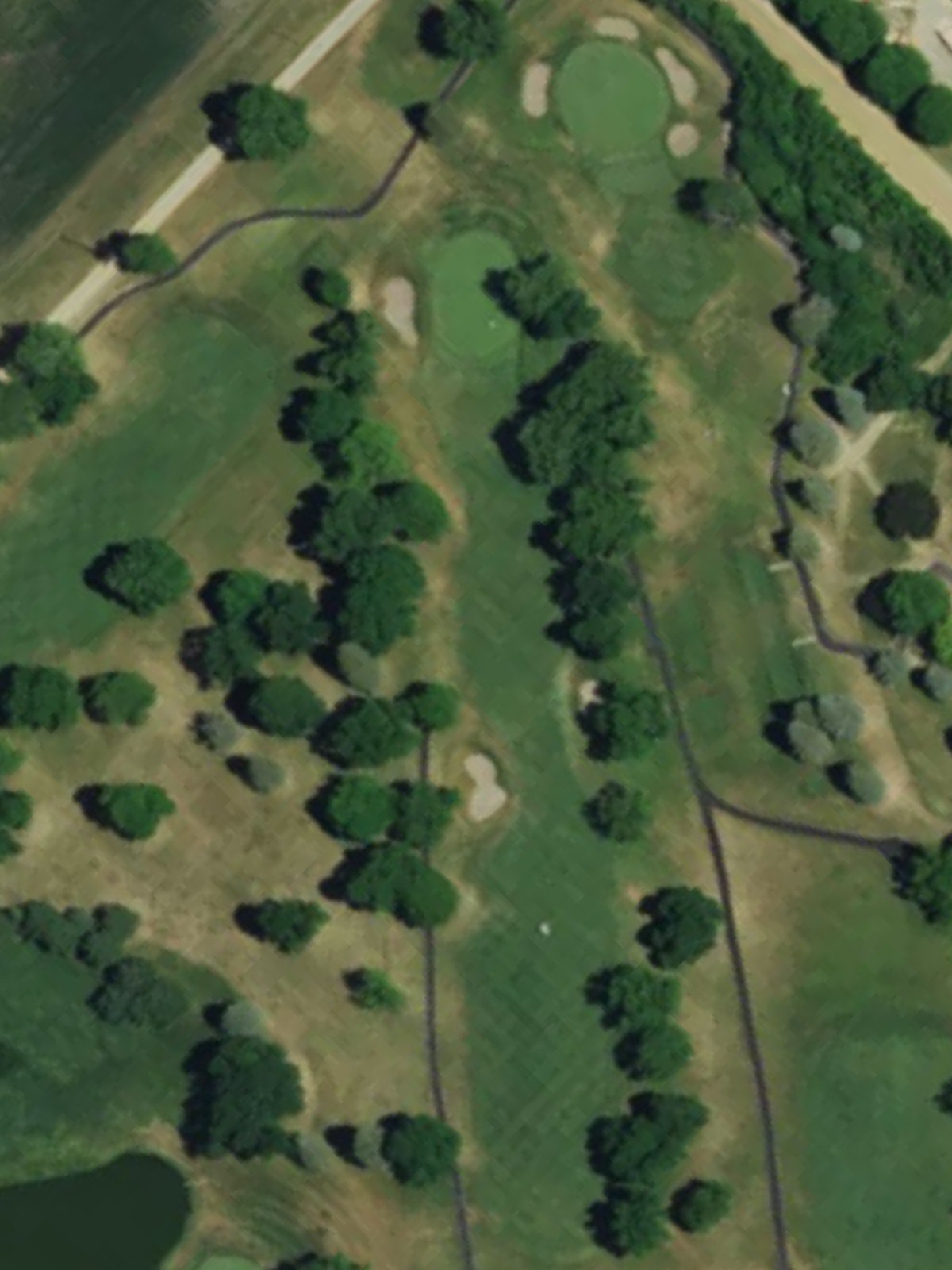 Hole 7 satellite