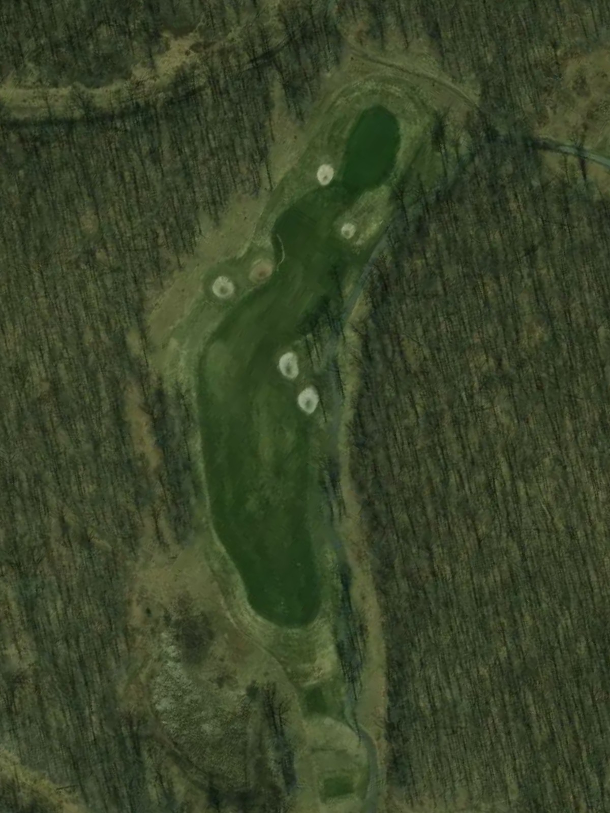 Hole 15 satellite