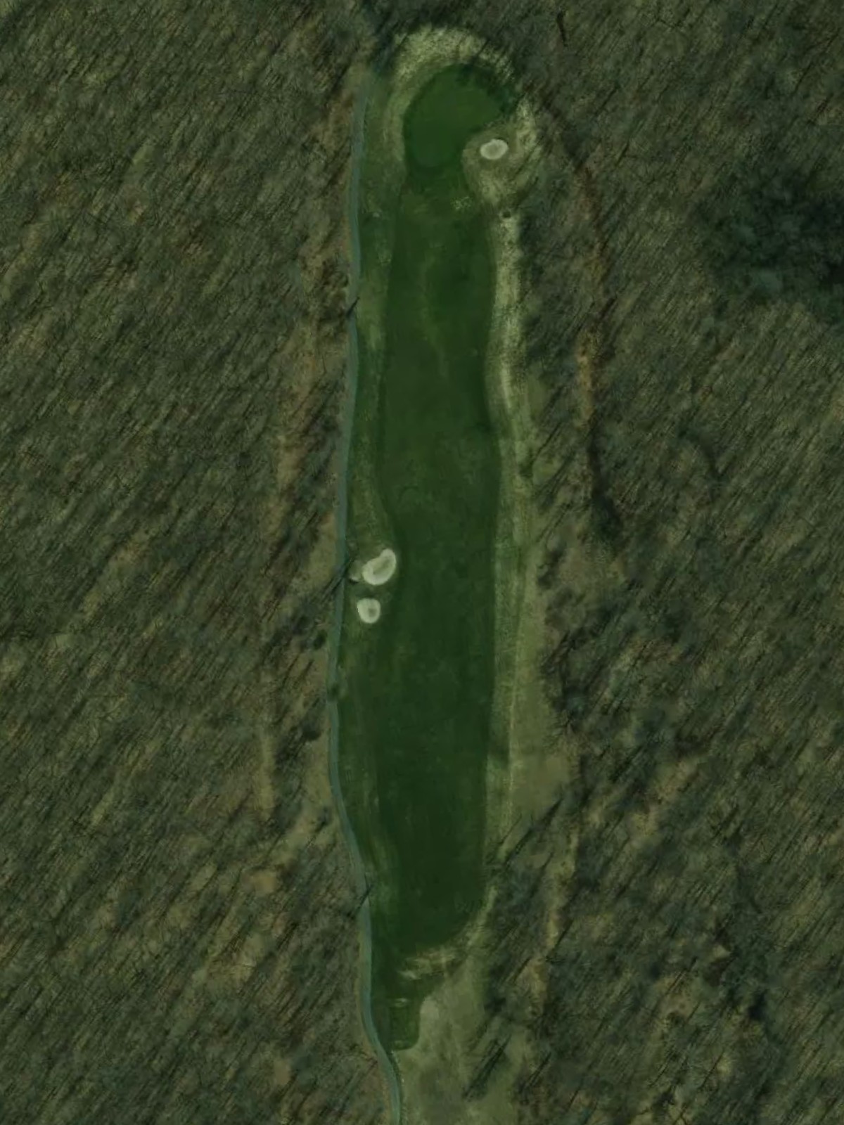 Hole 7 satellite