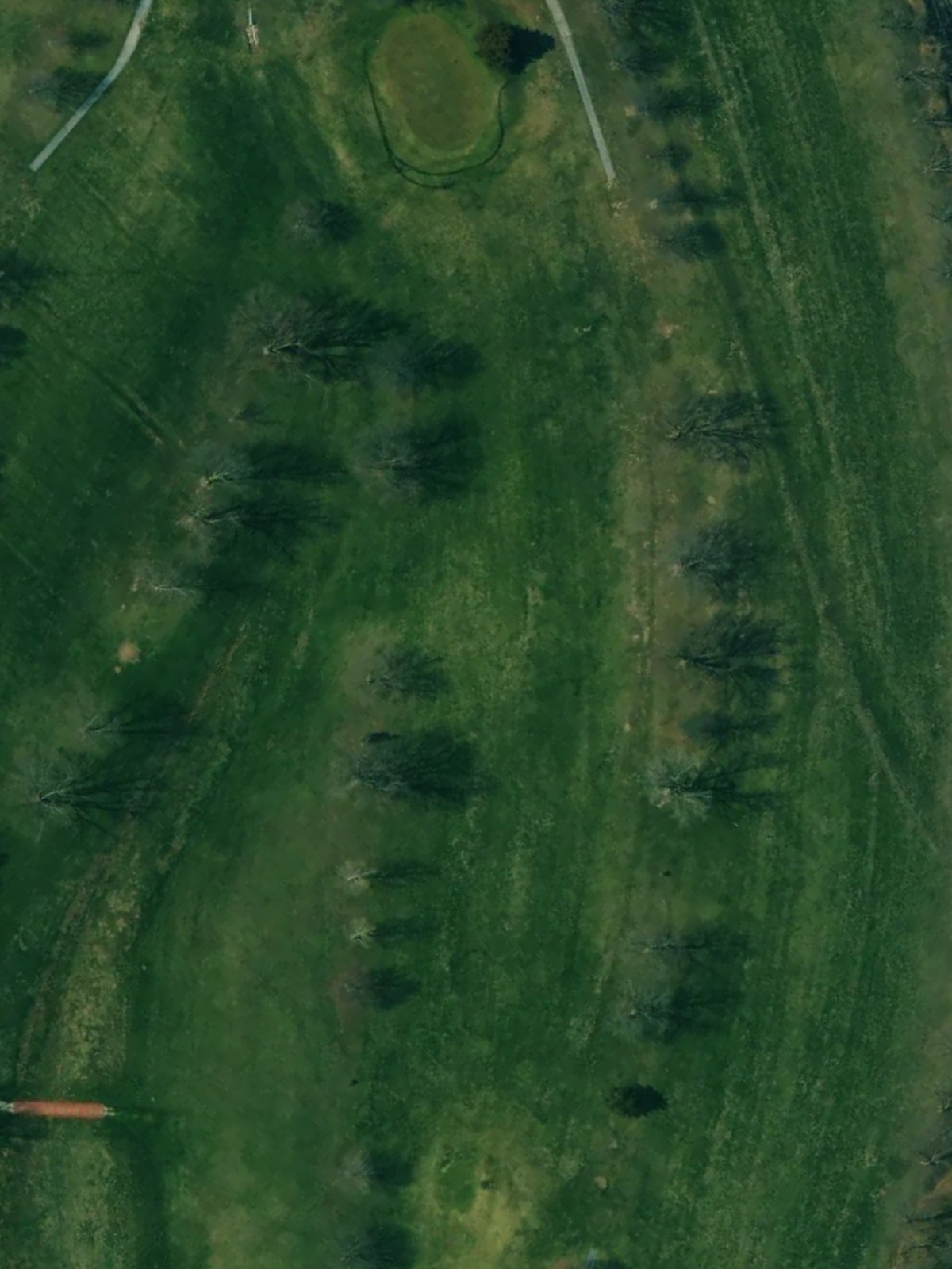 Hole 3 satellite